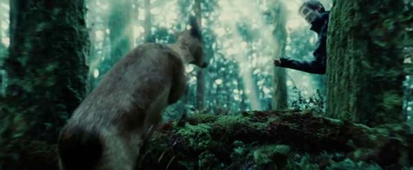 twilight 01