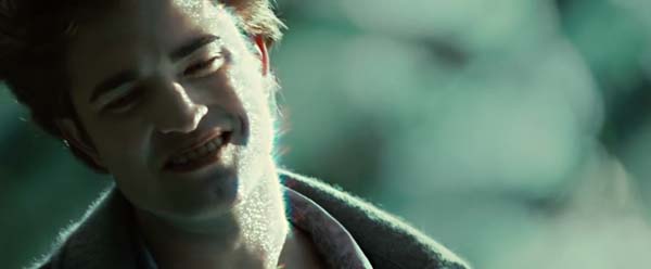 twilight 13
